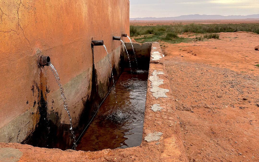 L’hygiène du matériel hydrique en Trail ou en Trek