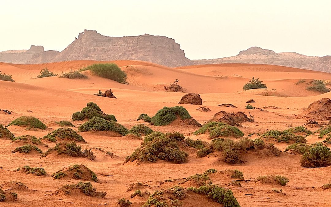 Pourquoi vous ne pouvez pas manquer la Première Édition de La Boucle de l’Étoile en Novembre 2025