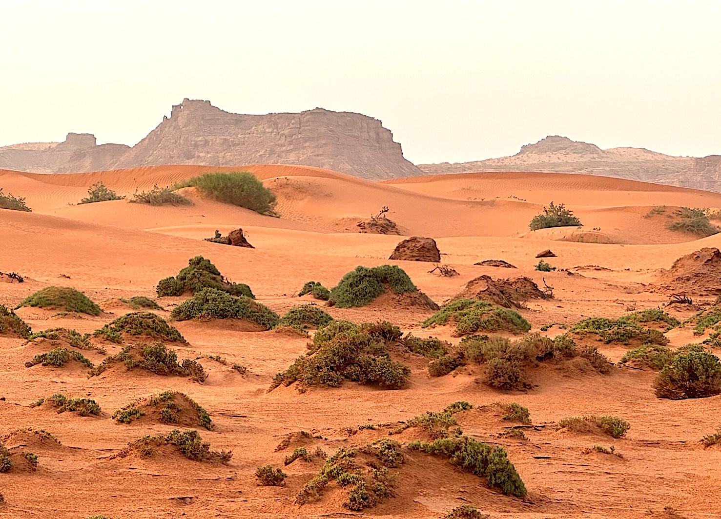 trail au maroc run trail
