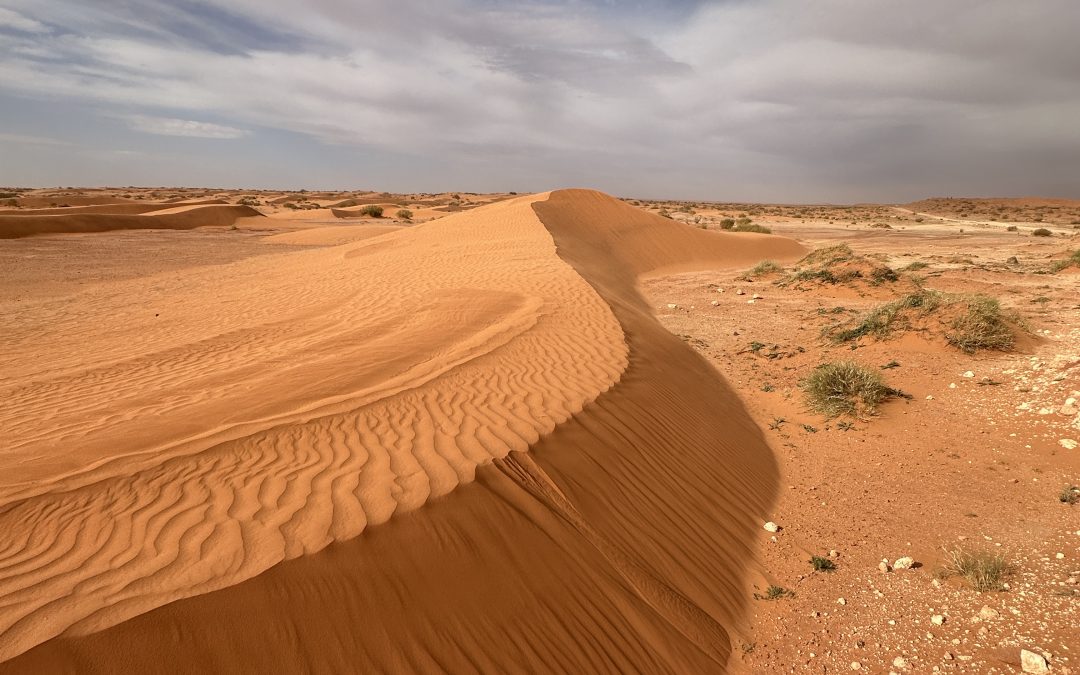 2 marathons en 3 jours pour le Trek et le Trail de La Boucle de l’Étoile