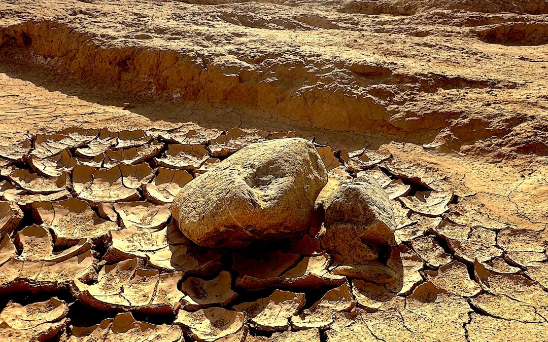 Alors ? Trail Tactique ou Trail Stratégique ??