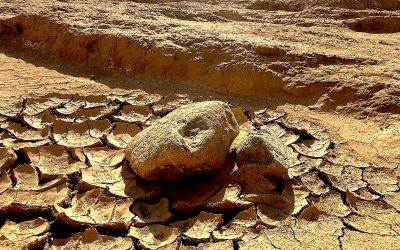 Alors ? Trail Tactique ou Trail Stratégique ??