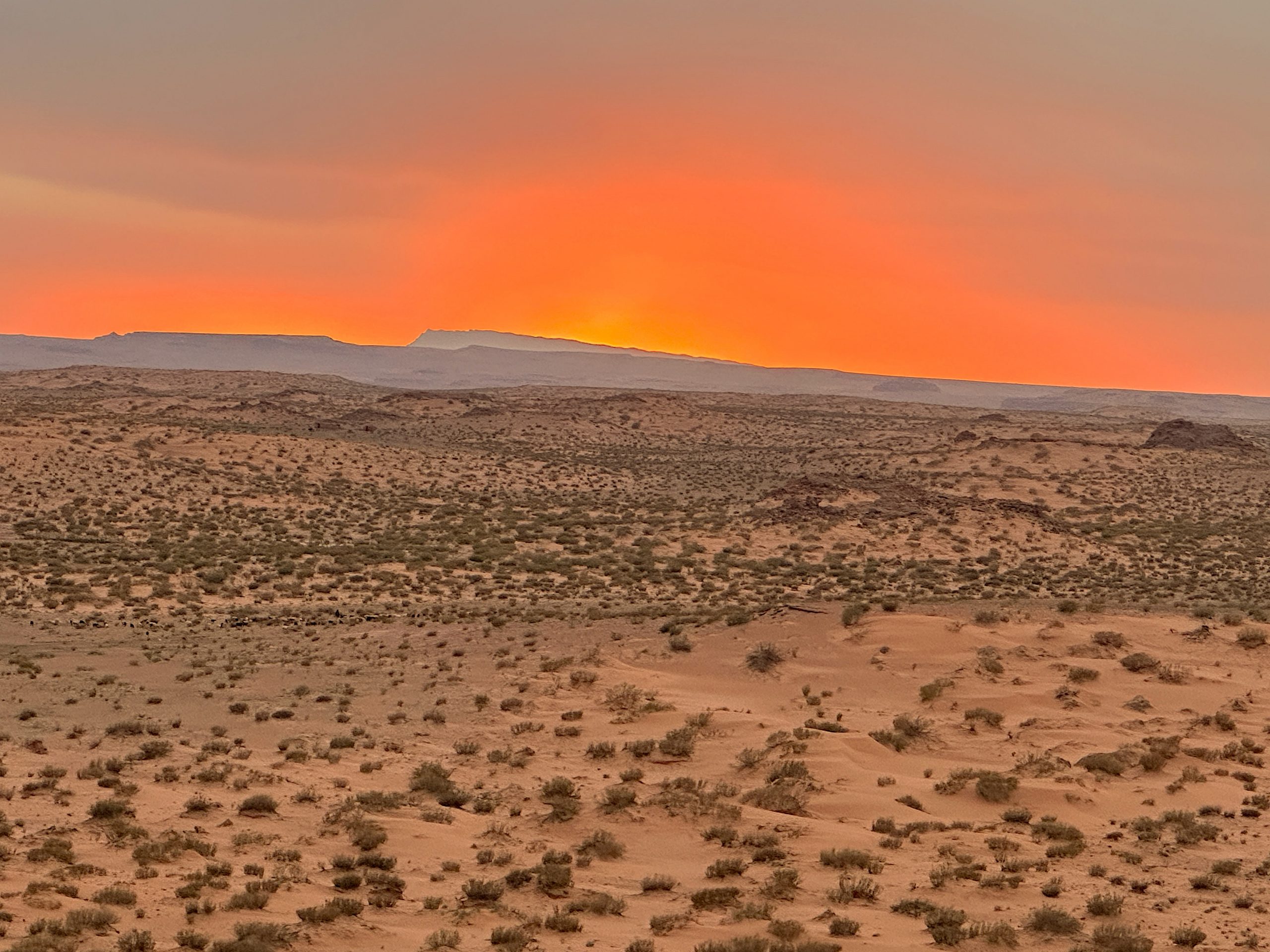 Trail ultra trail trek la boucle de l'étoile