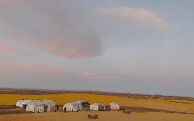 Team Building ! Du Vrai du lourd !